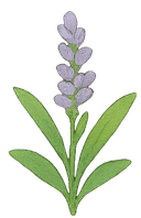 Flower Crop 2