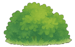 Grass Bush 3