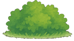 Grass Bush 5