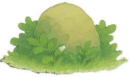 Grass Bush 7
